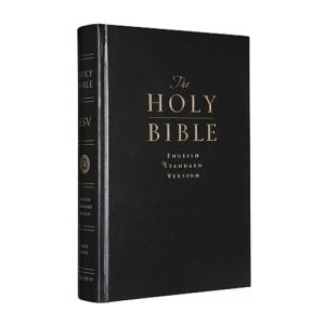 English Standard Version (ESV) Hard Cover Pew Bibles 