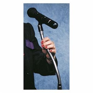 Gooseneck Microphone Positioning Tube - 13 Inches