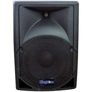 Kingdom Versa Pro Loudspeaker/Monitor - 12 Inch