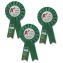 Green Ribbon with Laptop - Pack of 3